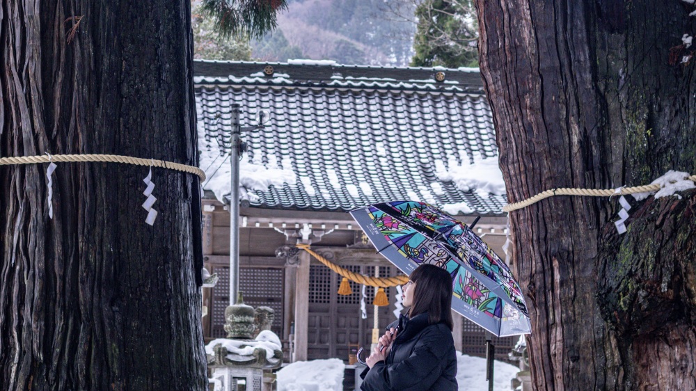 栢野大杉