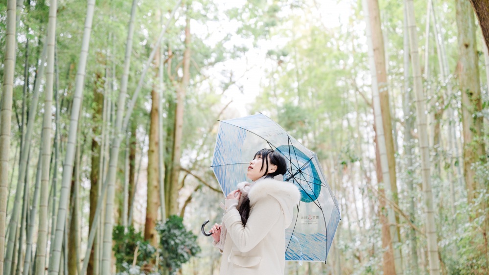 橋立自然公園
